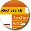 Orange Modern Theme - click to view full page