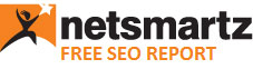 NetSmartz Logo