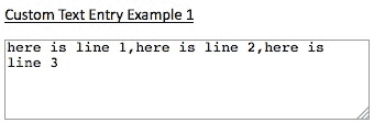 Custom Text Entry Example 1