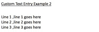 Custom Text Entry Example 2