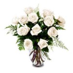 roses-white-tn.jpg
